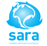 Sharks And Rays Australia
