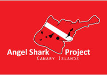 Angel Shark Project