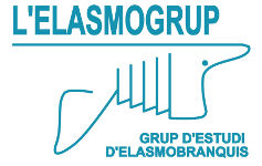 L'Elasmogrup