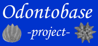 Odontobase Project