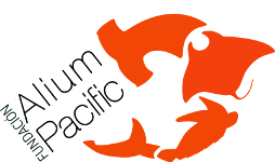 Fundación Alium Pacific