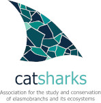 Catsharks, Institute of Marine Sciences (ICM-CSIC), Barcelona (Spain)