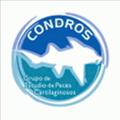 Condros - Grupo de Estudio de Peces Cartilaginosos