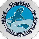 Sharklab International