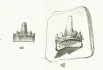 Hybodus plicatilis Tafel 24 fig.10, 13