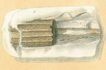 Ptychodus articulatus Tafel 10a fig.5